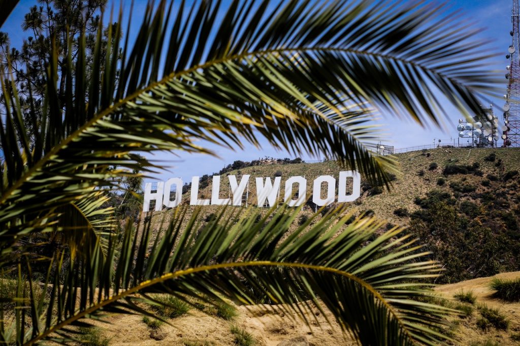 iwona-burnat-zona-hollywood