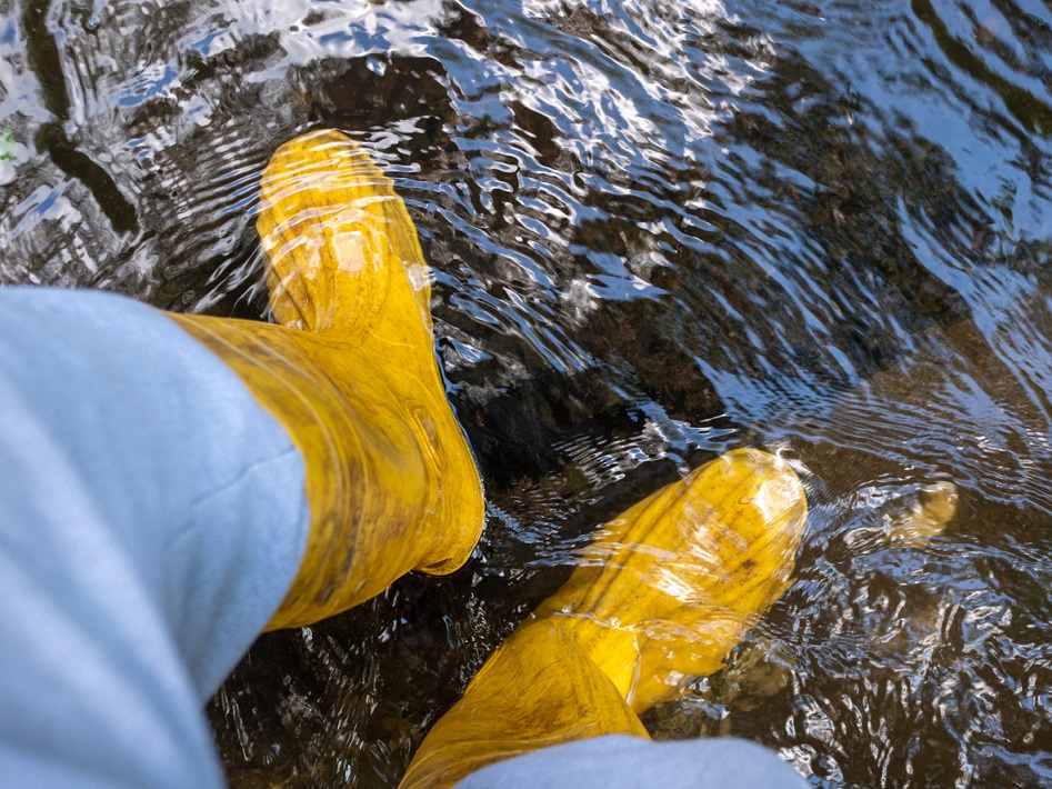 Zalana piwnica - jak sobie z nią poradzić